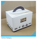Piękne pudełko na ciasto składane Silver Art / Kraft Paper With Handle